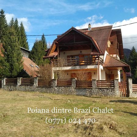 Poiana Dintre Brazi Chalet, Bucegi Panorama Sinaia Exteriör bild