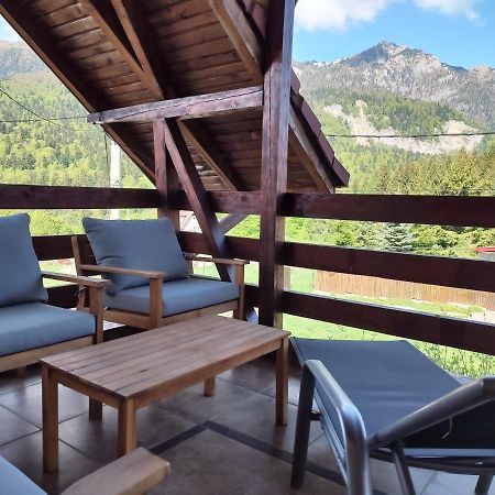 Poiana Dintre Brazi Chalet, Bucegi Panorama Sinaia Exteriör bild