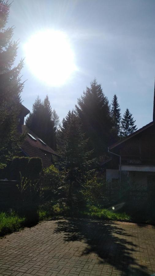 Poiana Dintre Brazi Chalet, Bucegi Panorama Sinaia Exteriör bild