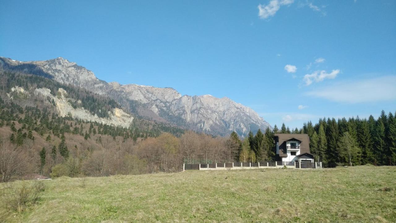 Poiana Dintre Brazi Chalet, Bucegi Panorama Sinaia Exteriör bild