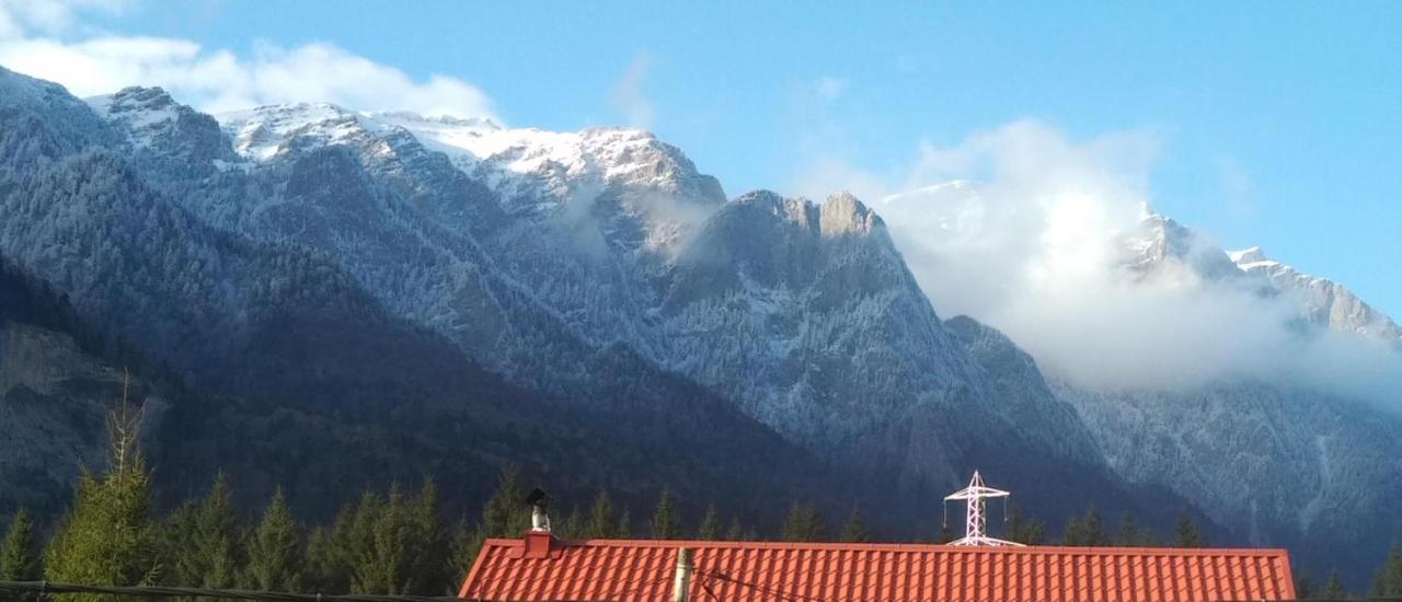 Poiana Dintre Brazi Chalet, Bucegi Panorama Sinaia Exteriör bild