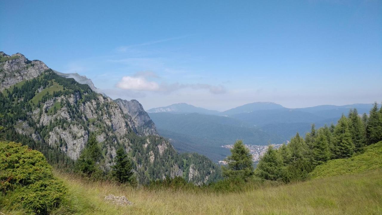 Poiana Dintre Brazi Chalet, Bucegi Panorama Sinaia Exteriör bild
