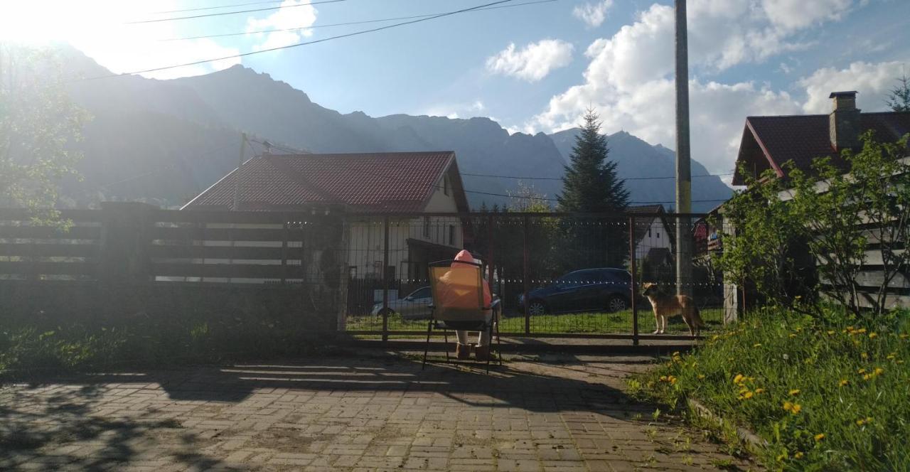 Poiana Dintre Brazi Chalet, Bucegi Panorama Sinaia Exteriör bild