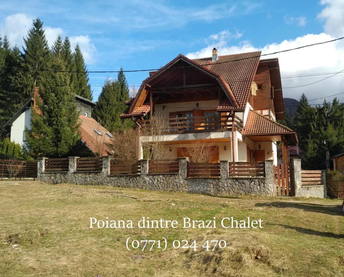 Poiana Dintre Brazi Chalet, Bucegi Panorama Sinaia Exteriör bild